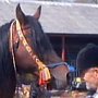SK Po�onina